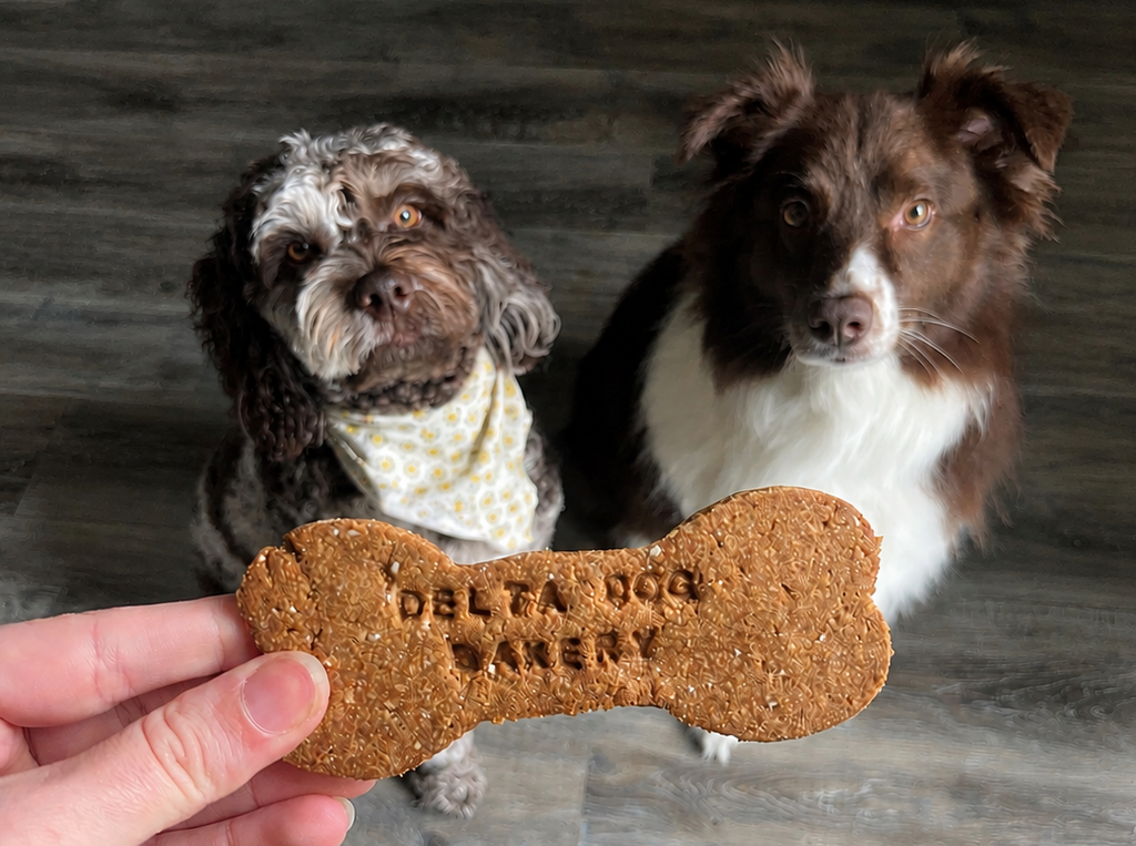 Bulk Custom Jumbo Bone Biscuits