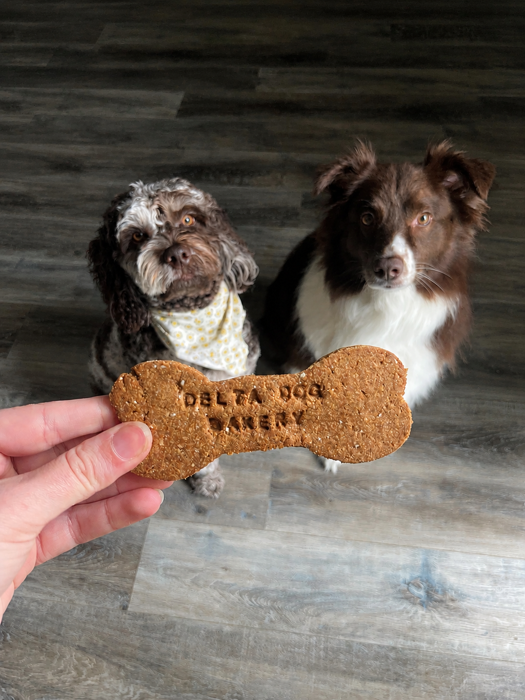 Custom Jumbo Bone Biscuit